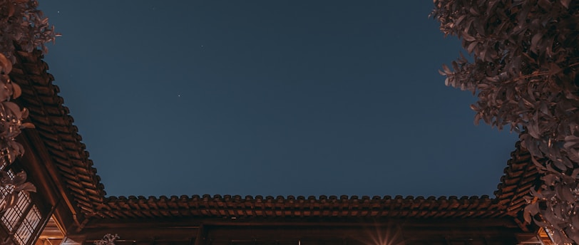 桜の木の下の愛: 写真家と失明のダンサーの物語